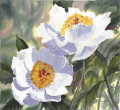 MARCH 3-24 | Beginner Watercolour Classes with Julieta Cortes