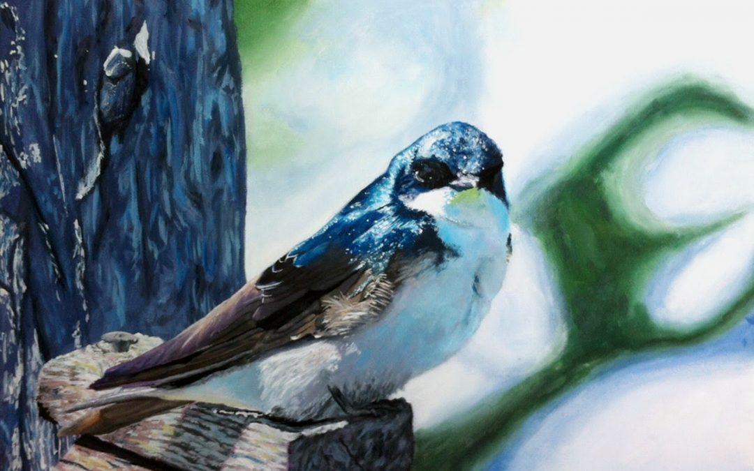 JANUARY 11 – FEBRUARY 15 | Wildlife Painting for Older Teens and Adults