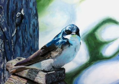JANUARY 11 – FEBRUARY 15 | Wildlife Painting for Older Teens and Adults