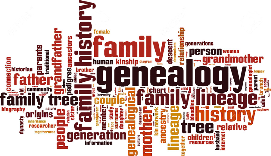 NOVEMBER 1 – DECEMBER 20 | Introduction to Genealogy – HYBRID