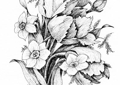 APRIL 24 – MAY 29 | Pen and Ink – Spring in Bloom with Dianne Darch – on Zoom