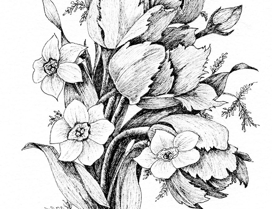 APRIL 24 – MAY 29 | Pen and Ink – Spring in Bloom with Dianne Darch – on Zoom