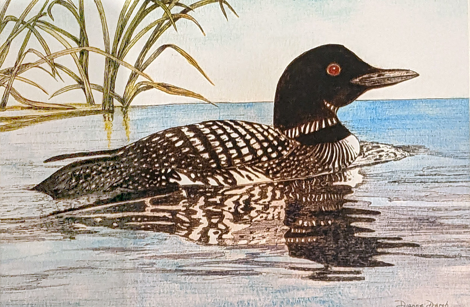 Pen and Ink with Diane Darch - Loon - on Zoom